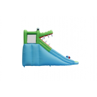 Aquapark - Crocodile